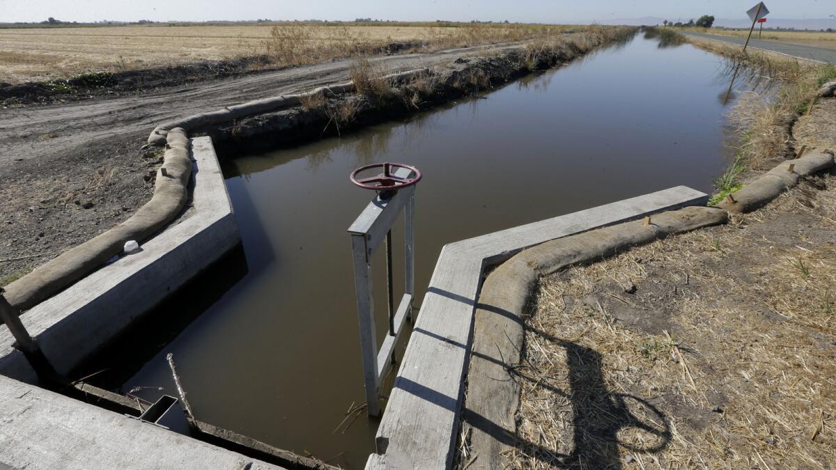 Water flows down a canal near Byron, Calif. The California State Water Resources Control Board said it's proposing a fine of $1.5 million against the Byron-Bethany Irrigation District.