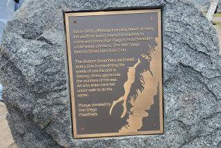 A plaque honoring the Bottom Scratchers dive club is now on view at Scripps Park.