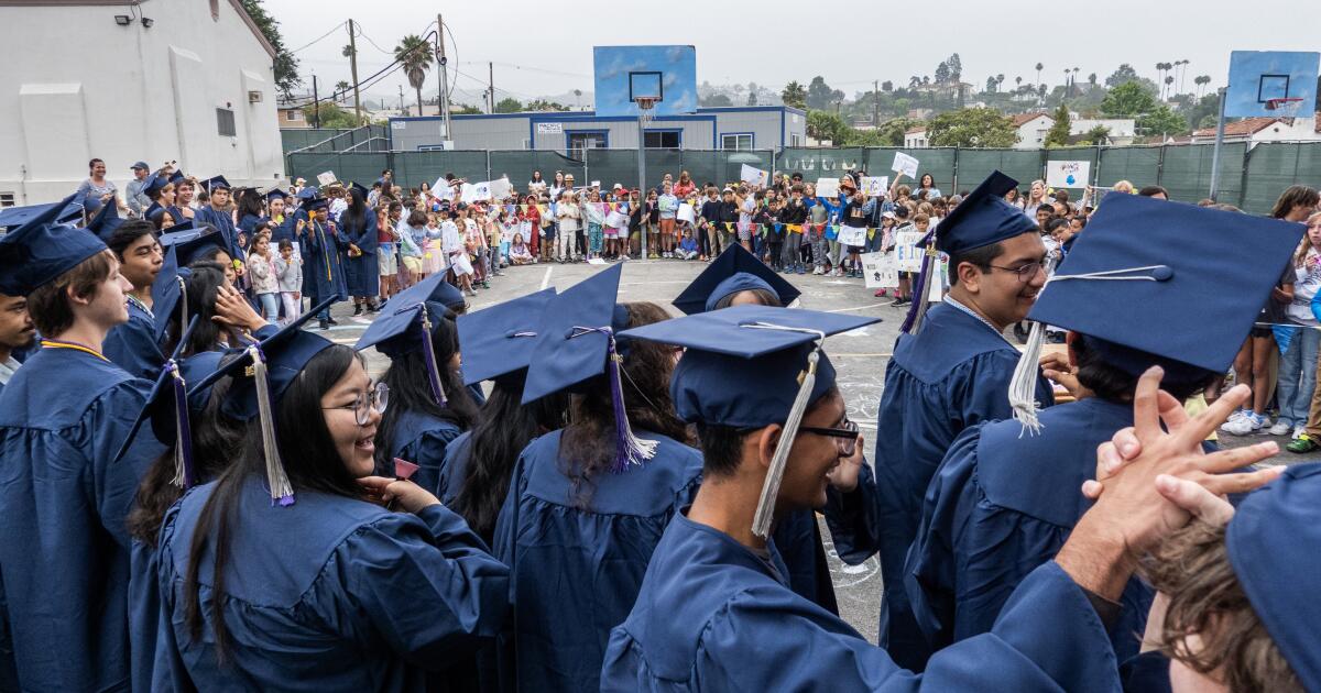 La educación se le está escapando a Trump y Harris en la campaña presidencial