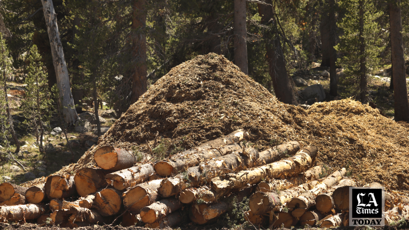 California Timber LA Times Today: Trump’s order to expand U.S. timber production includes ...