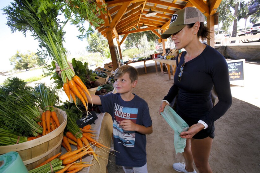 Eight-year-old Chase Prather, left, of Encinitas picks a bunch of carrots while his mom, Heidi Prather, right, looks on at Coastal Roots Farm, a pay-what-you-can farm stand. (Howard Lipin/San Diego Union-Tribune)