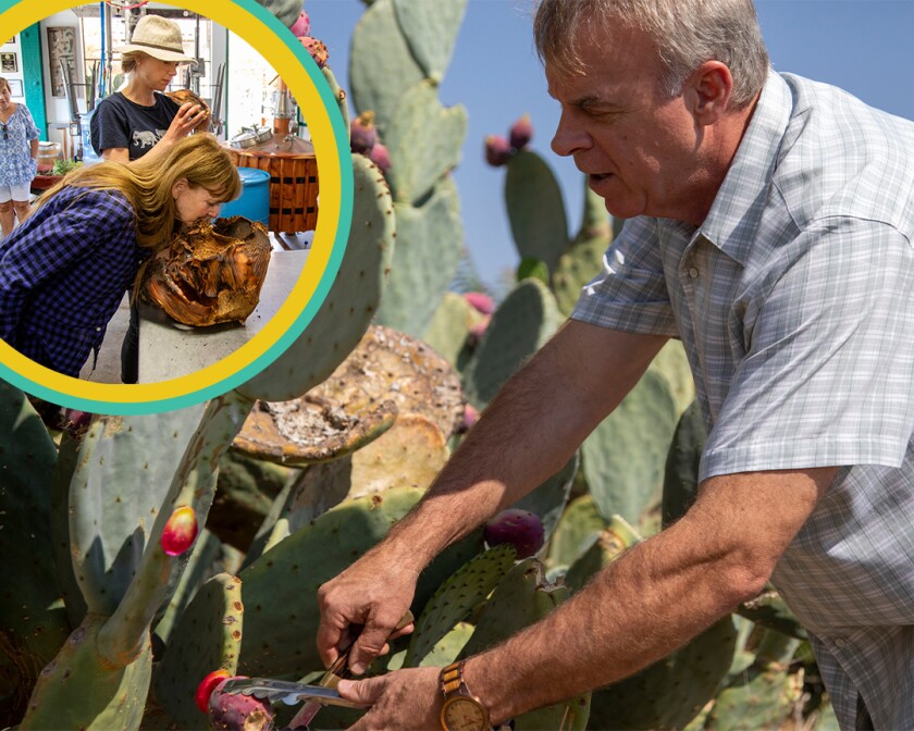 A photo of a man foraging for resources and an inset photo of two people.