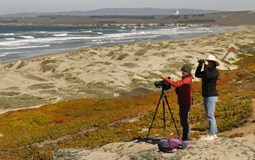 Two people at the beach with a camera on a tripod