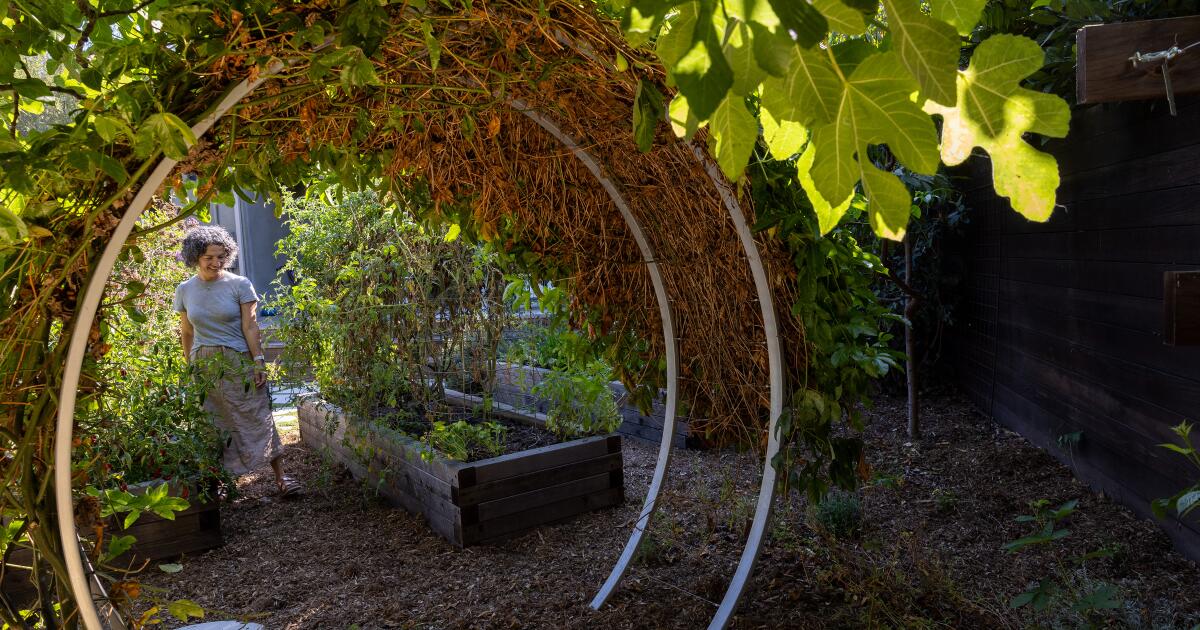 Her family swapped their lawn for a backyard mini-farm and valuable life lessons