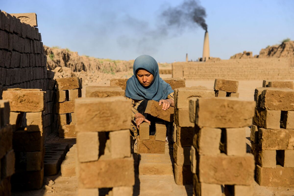 A young girl collects bricks as she works as a laborer at a brick factory on the outskirts of Herat on August 26, 2020.