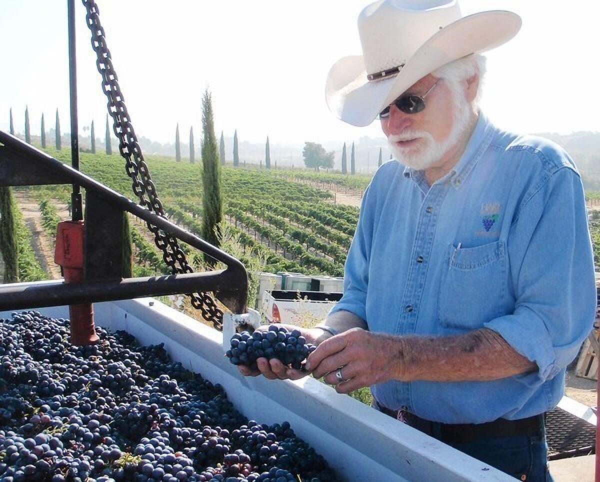 Joe Hart examines the season's harvest at his Temecula family winery, which produces 4,000 cases a year.