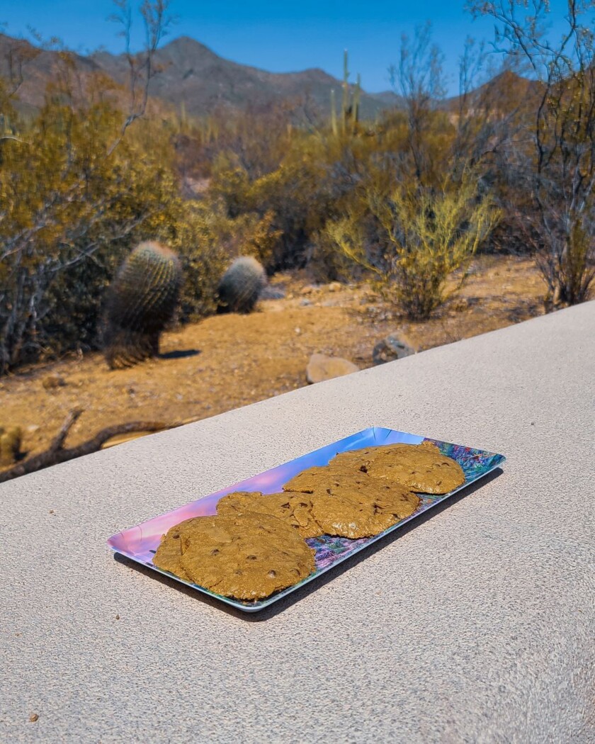 A tray of cookies bakes in the hot desert sun.