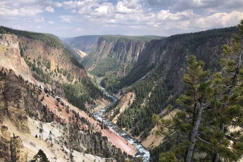 The Yellowstone River carved its own Grand Canyon.
