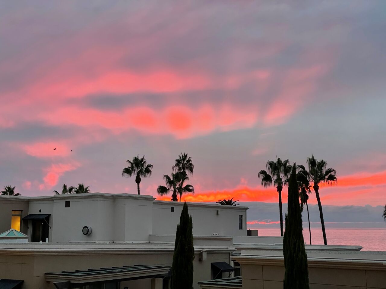 Ursula Moede sunset.jpg