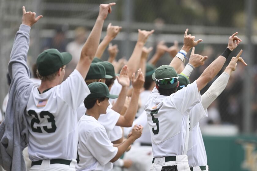 La Costa Canyon players celebrate after a run scores during the first inning a high school baseball game against Sherman Oaks at La Costa High School May, 30, 2023 in Carlsbad, Calif. (Photo by Denis Poroy)