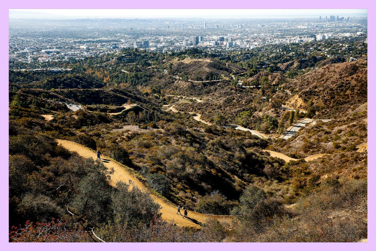 Hikers enjoy views to the Pacific Ocean on the Mt Hollywood Trail leading to the peak of Mount Hollywood at 1,625 ft.