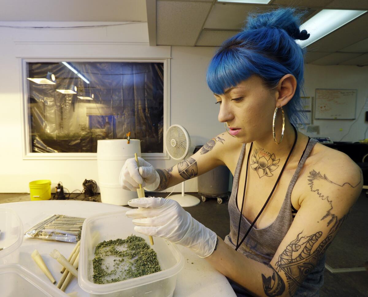 Stevie Askew, a worker at Sea of Green Farms, packs recreational marijuana into blunts that will be sold in stores when legal recreational pot sales begin Tuesday in Washington state.