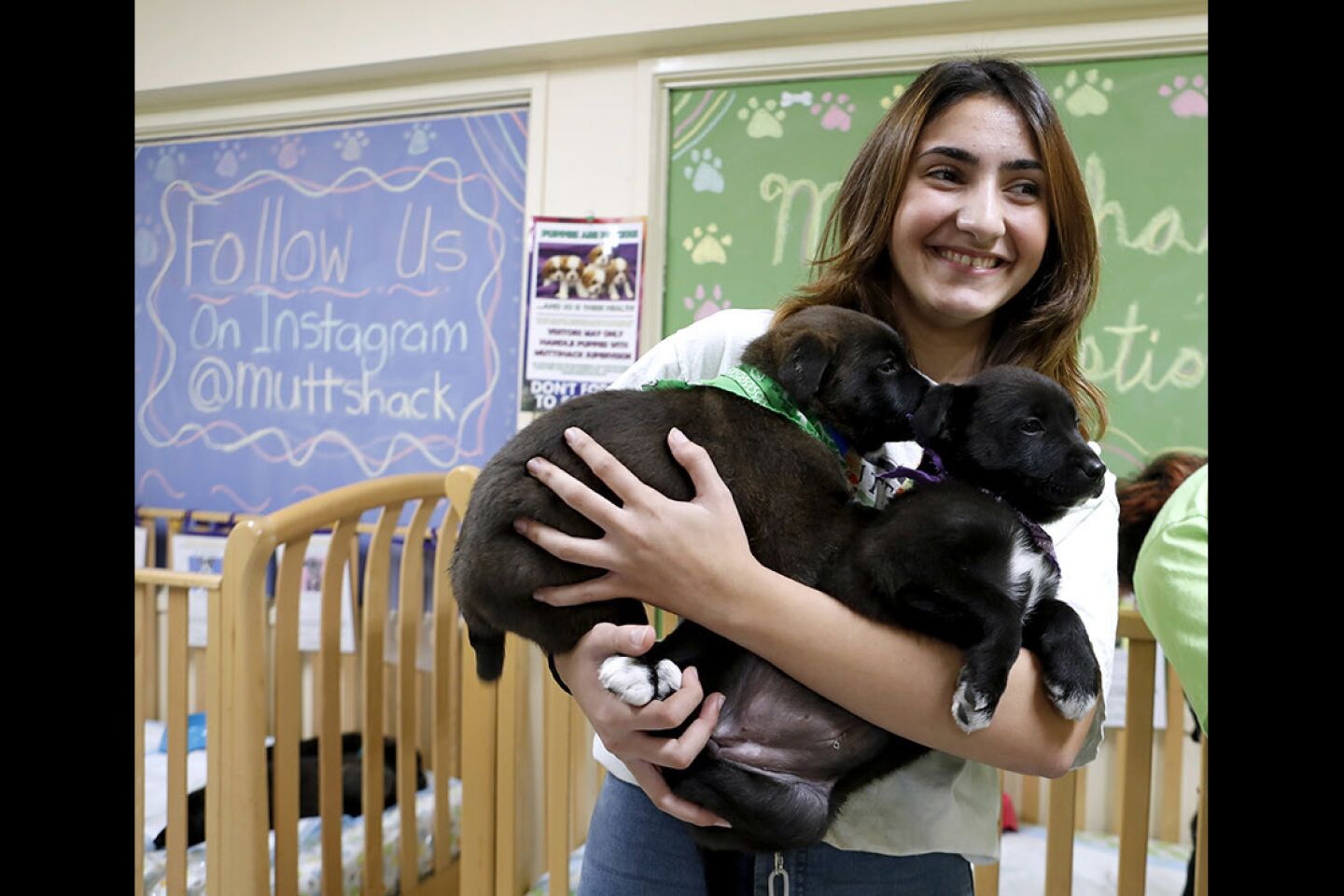 Photo Gallery: Muttshack Animal Rescue and Petco Burbank hold puppy adoption event