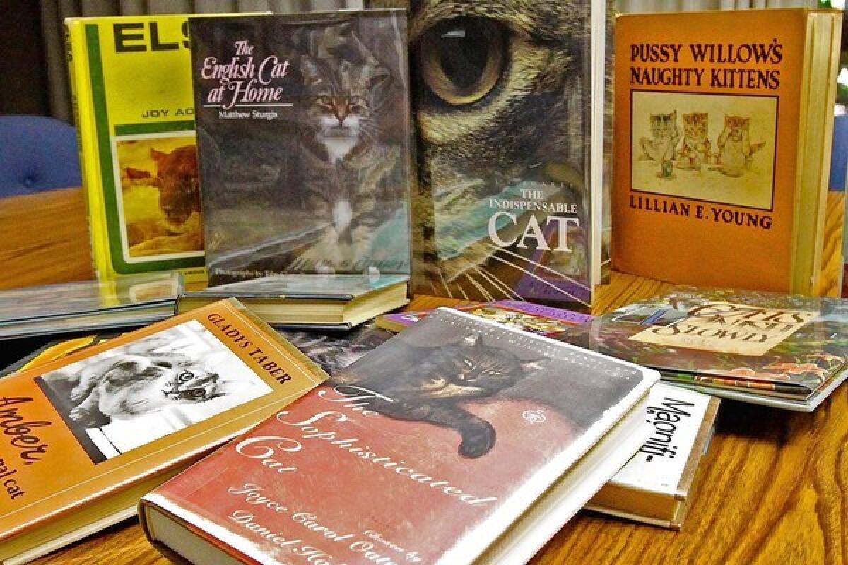 Cat books at the Glendale Public Library on Tuesday, July 23, 2013. The Glendale Central library still has a few leftover cat books its trying to get rid of in storage.