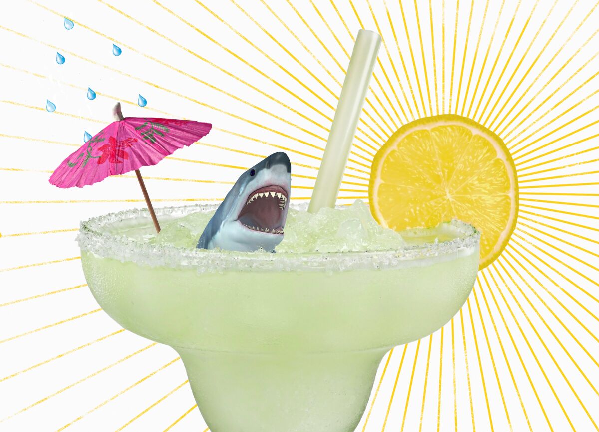 Illustration of a margarita with a sunny lemon, shark and cocktail umbrella.