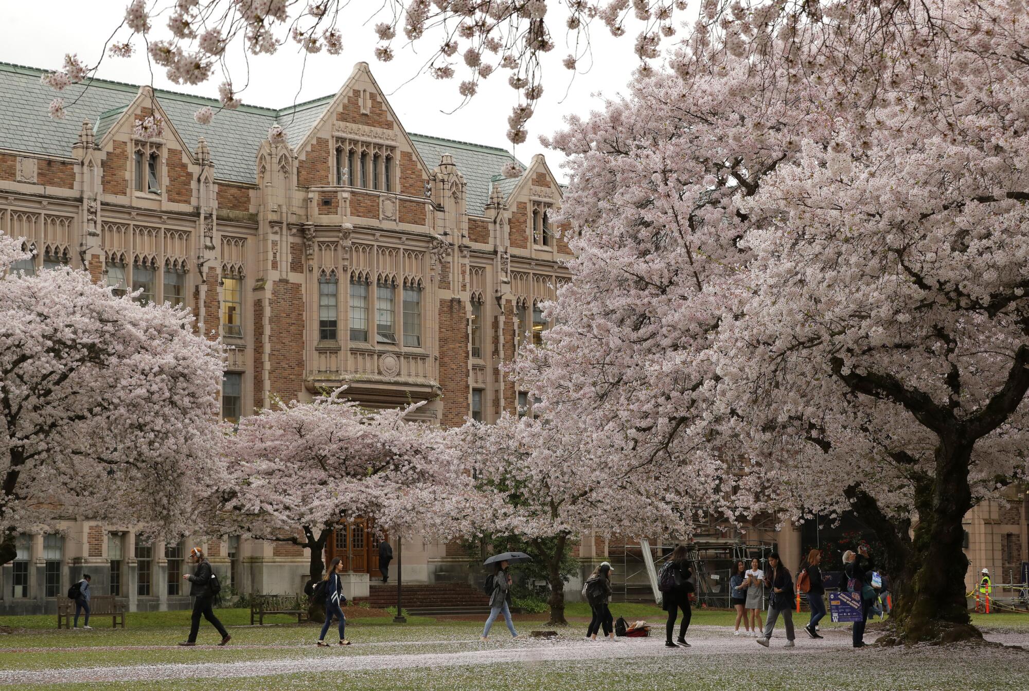 Students walk between classes on the University of Washington campus in Seattle.