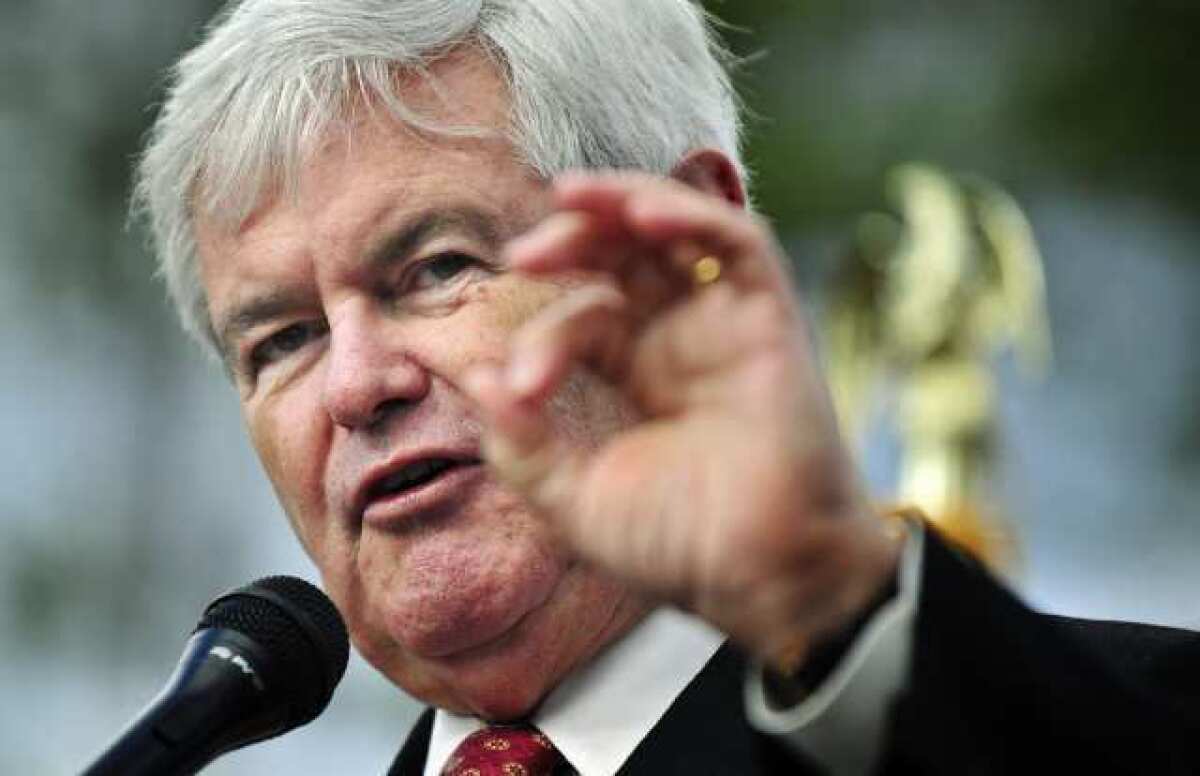 Republican presidential candidate Newt Gingrich speaks during a town hall rally in Bluffton, S.C.