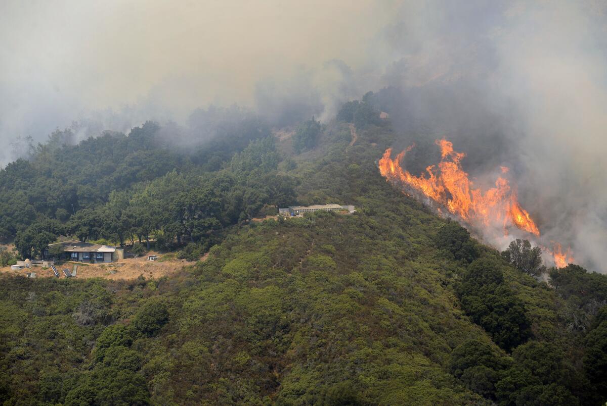 The Soberanes fire burns in Palo Colorado Canyon. (David Royal / Monterey County Herald)
