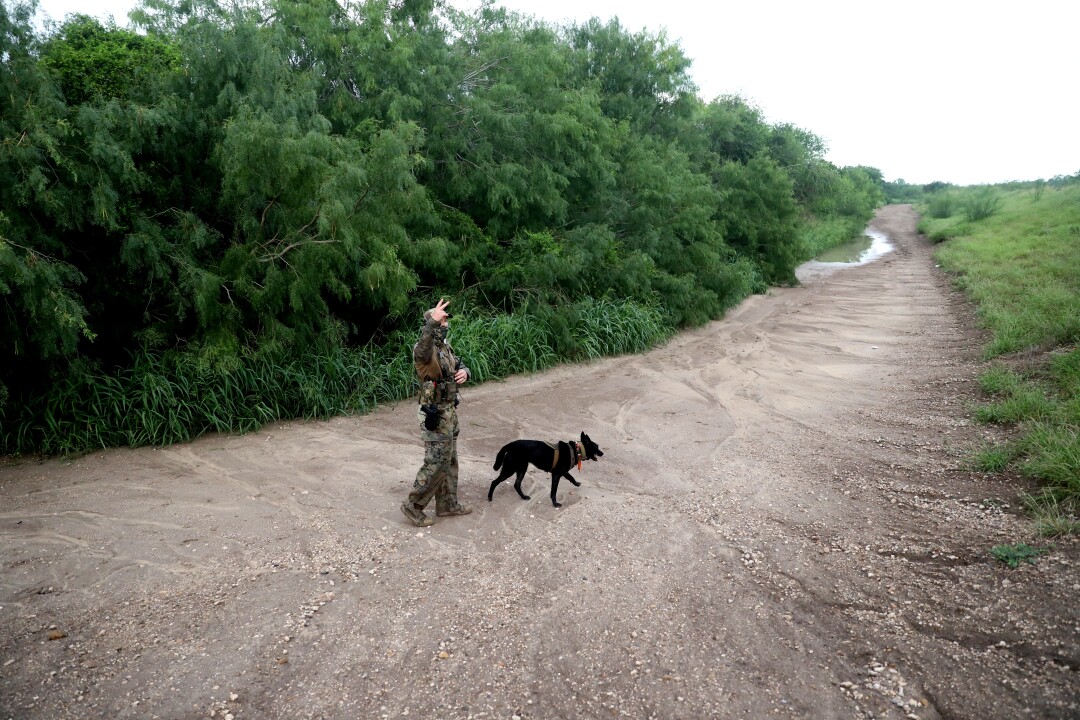An agent in camouflage gear with a dog on a dirt path