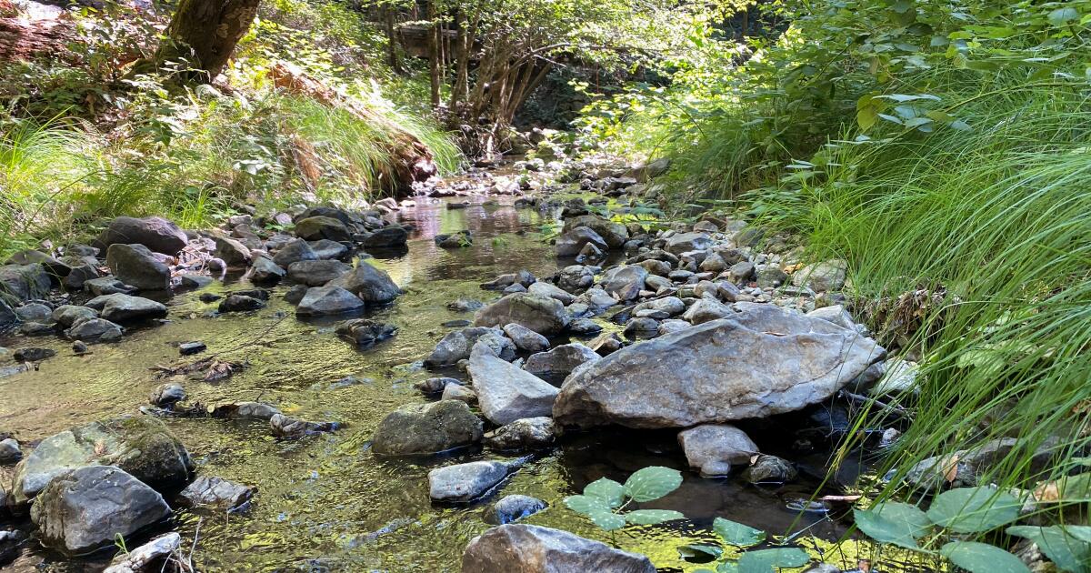 Courtroom ruling may restrict Sonoma groundwater pumping