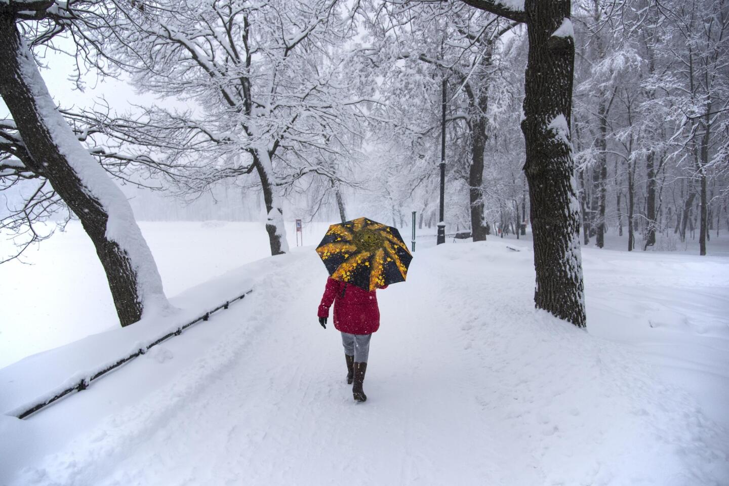 How much did it snow? It snowed so much that Moscow called a snow day. That  never happens - Los Angeles Times