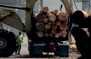 Logs are loaded onto the bed of a truck.