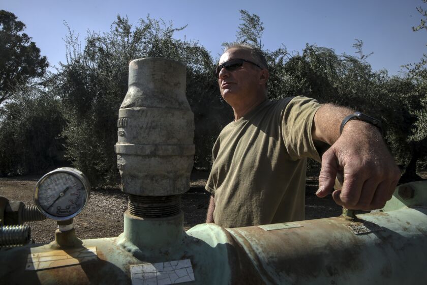 Visalia, CA - October 11: Craig Branco owns an olive orchard and a rental home outside Visalia where two wells went dry this year. 3 B Farms on Monday, Oct. 11, 2021 in Visalia, CA. (Irfan Khan / Los Angeles Times)