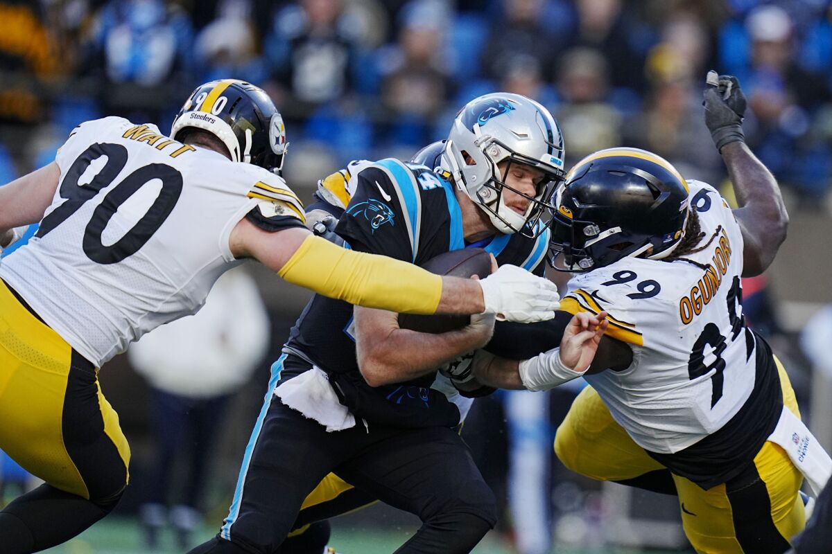 Panthers remarkably control own playoff destiny even at 5-9 - The San Diego  Union-Tribune