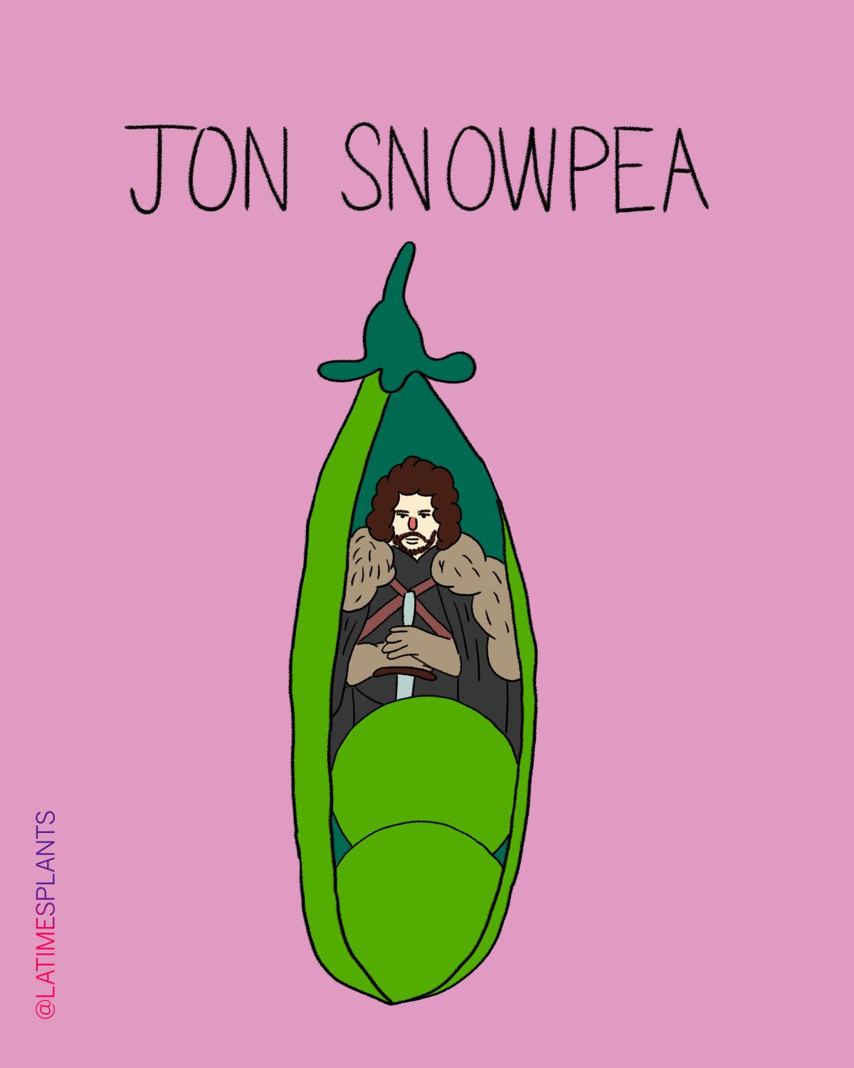 Jon Snowpea