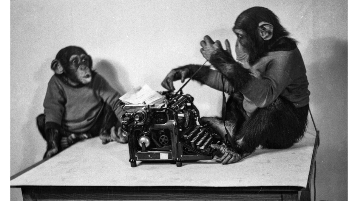Jan. 18, 1936: Chimpanzees Ditto, left, and Shorty play with a typewriter.