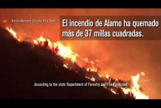 Incendios forestales en California obligan a casi 8.000 personas a evacuar