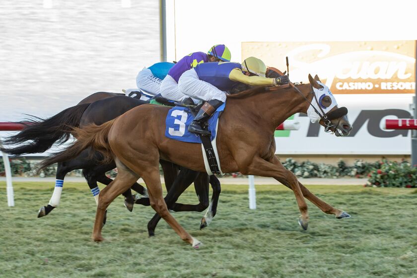 Hong Kong Harry and jockey Flavien Prat, outside, overpower Beyond Brilliant (Victor Espinoza), middle and Masteroffoxhounds (Mike Smith), inside, to win the Grade II, $250,000 Seabiscuit Handicap, Saturday, November 26, 2022 at Del Mar Thoroughbred Club, Del Mar CA. © BENOIT PHOTO