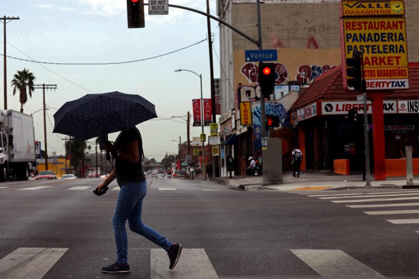 LOS ANGELES, CA - SEPTEMBER 8, 2022 - - A pedestrian breaks out the umbrella as parts of Southern California woke up to light rain Thursday morning during the ongoing heatwave in Los Angeles on September 8, 2022. According to Ryan Kittell a meteorologist with the National Weather Service in Oxnard, the rainfall has been "splattered over" the Los Angeles valley and coastal areas a rain preview from Hurricane Kay. (Genaro Molina / Los Angeles Times)