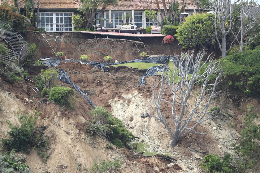 Homes along Galaxy Dr. in Newport Beach were yellow-tagged after a large backyard landslide on the bluffs sent grass and a large tree into the Upper Newport Bay in Newport Beach on Thursday.