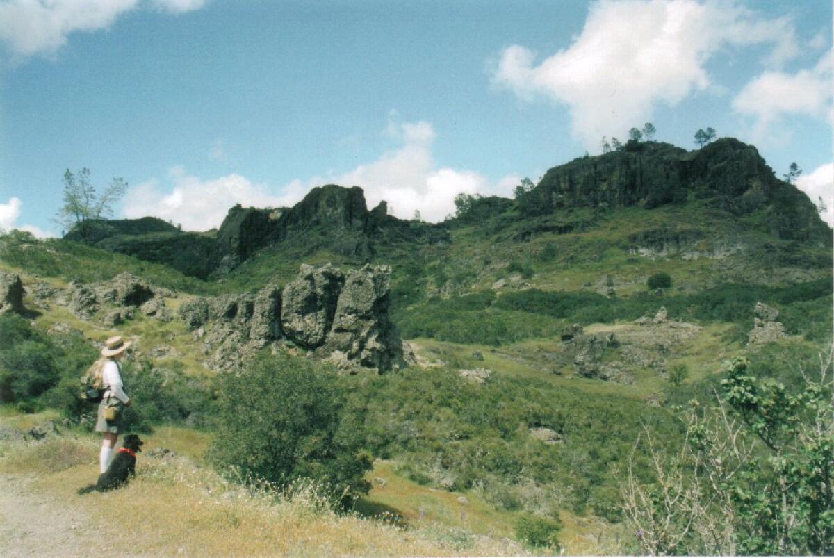 A hiker and dog look up at rocks jutting out of a green mountain.