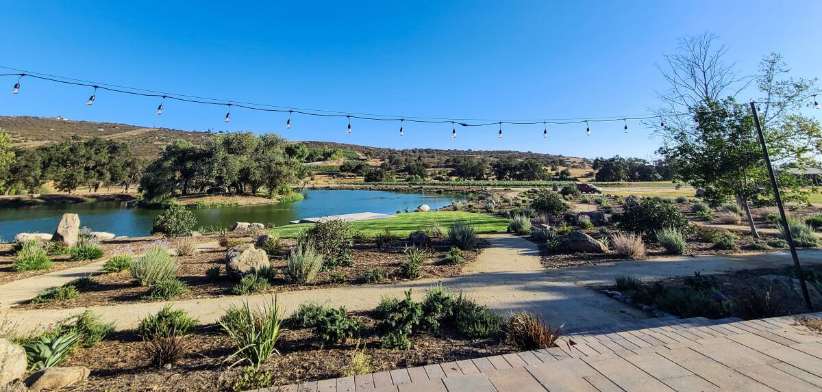 Information about an SDSU climate change investigation was presented at Westwynd Vineyard, located on the Old Julian Highway.