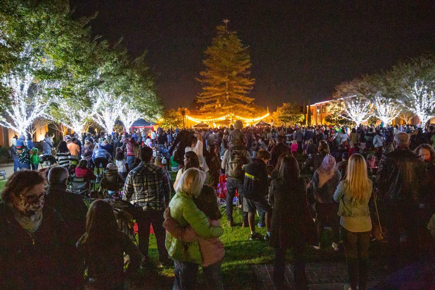 The crowd waits for the lighting of Liberty Station's 88-foot Norfolk pine tree for the holidays.