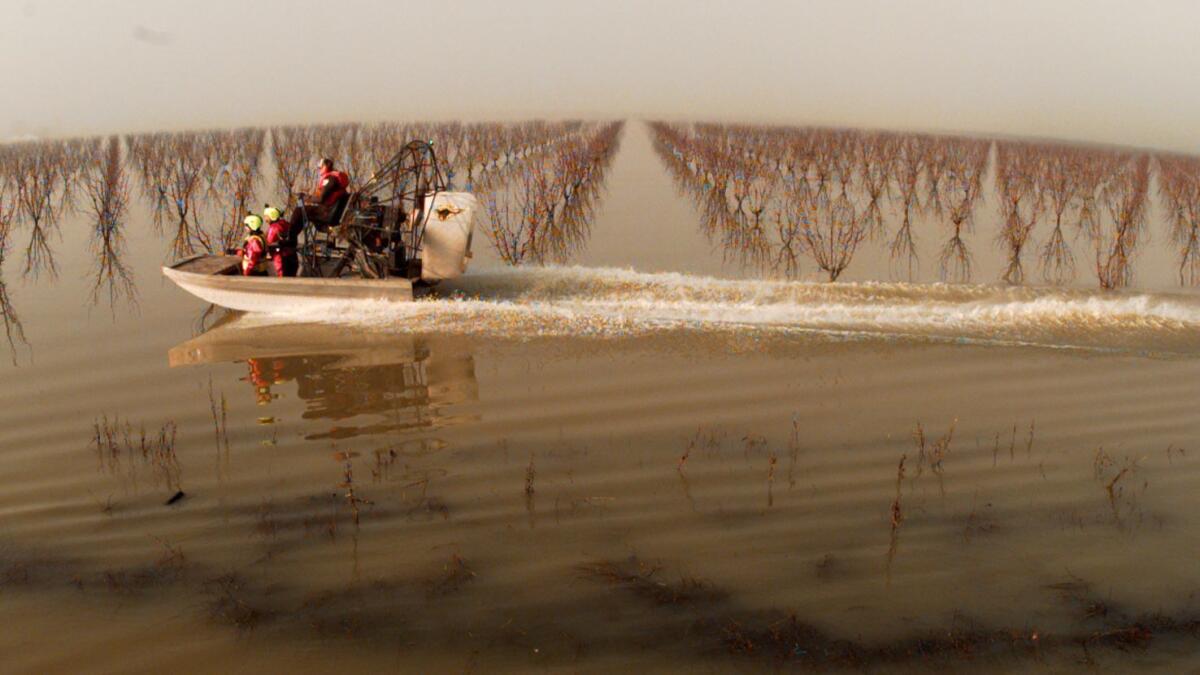 A rescue squad from the Yuba County Sheriff's Department crosses through flooded walnut orchards in 1997.