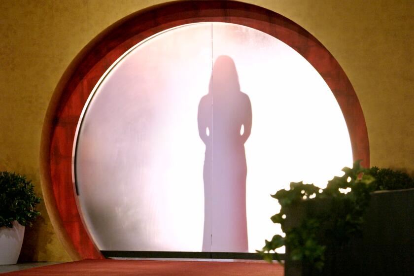 A silhouette of a woman in a gown behind a foggy, round screen surrounded by plants