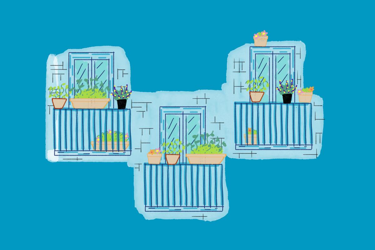 Illustration of herbs growing in pots on three balconies