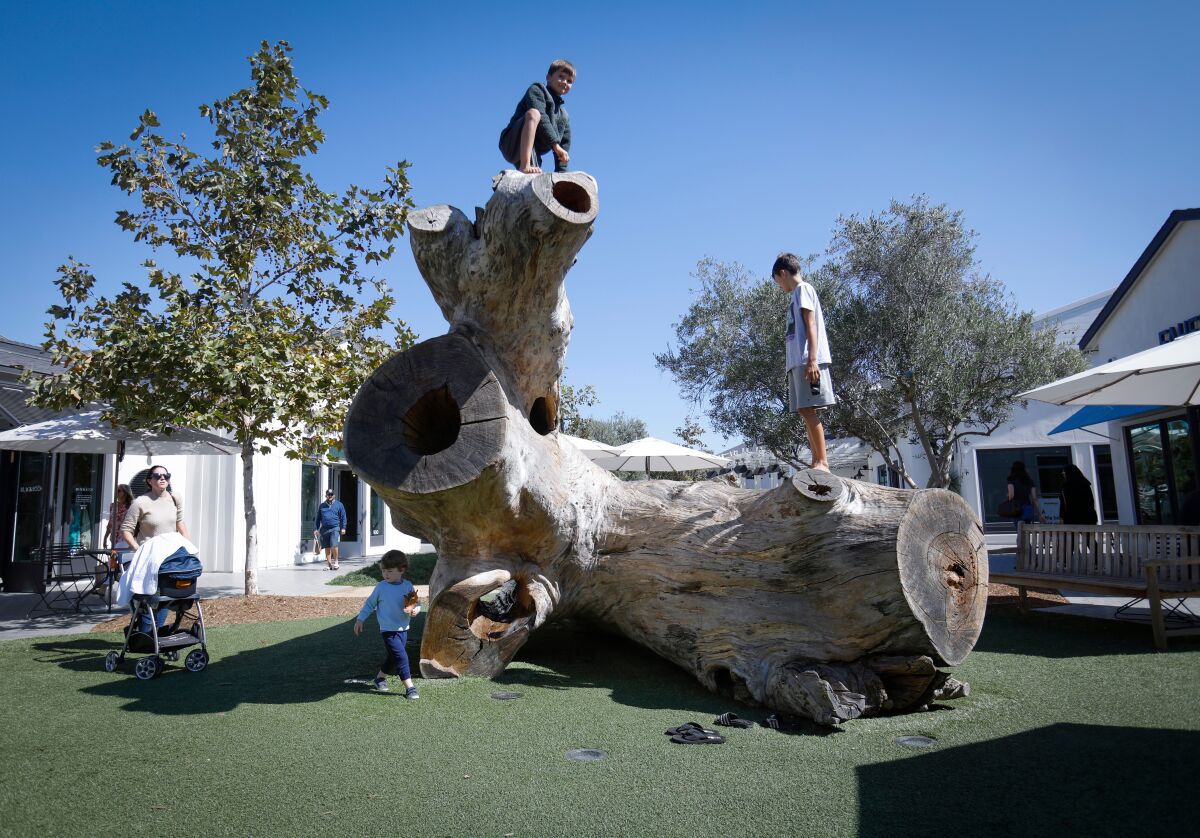 Brothers play on "Slo Ride, nicked named "The Log," by artist Evan Shivley.