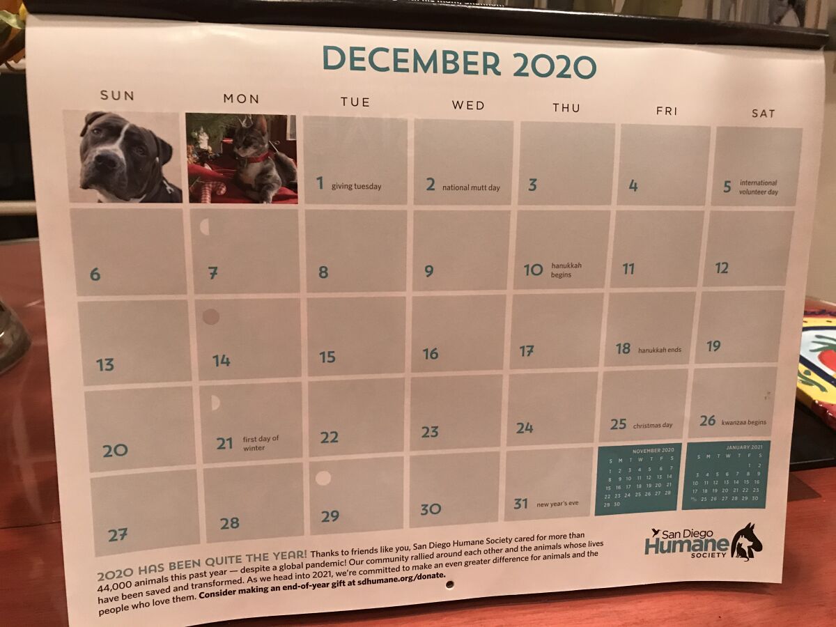 Inga's social calendar for this month is empty, despite the holidays, thanks to the COVID-19 pandemic.
