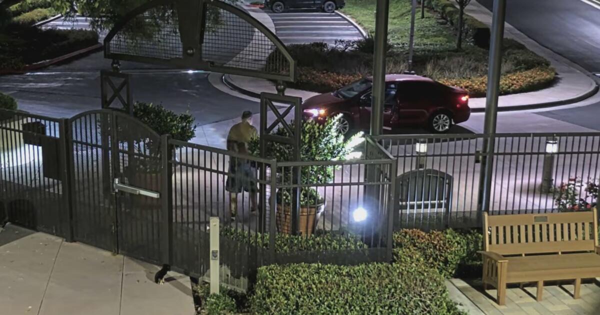 Des policiers recherchent un homme qui a abandonné son chien dans le « pays des coyotes » de SoCal