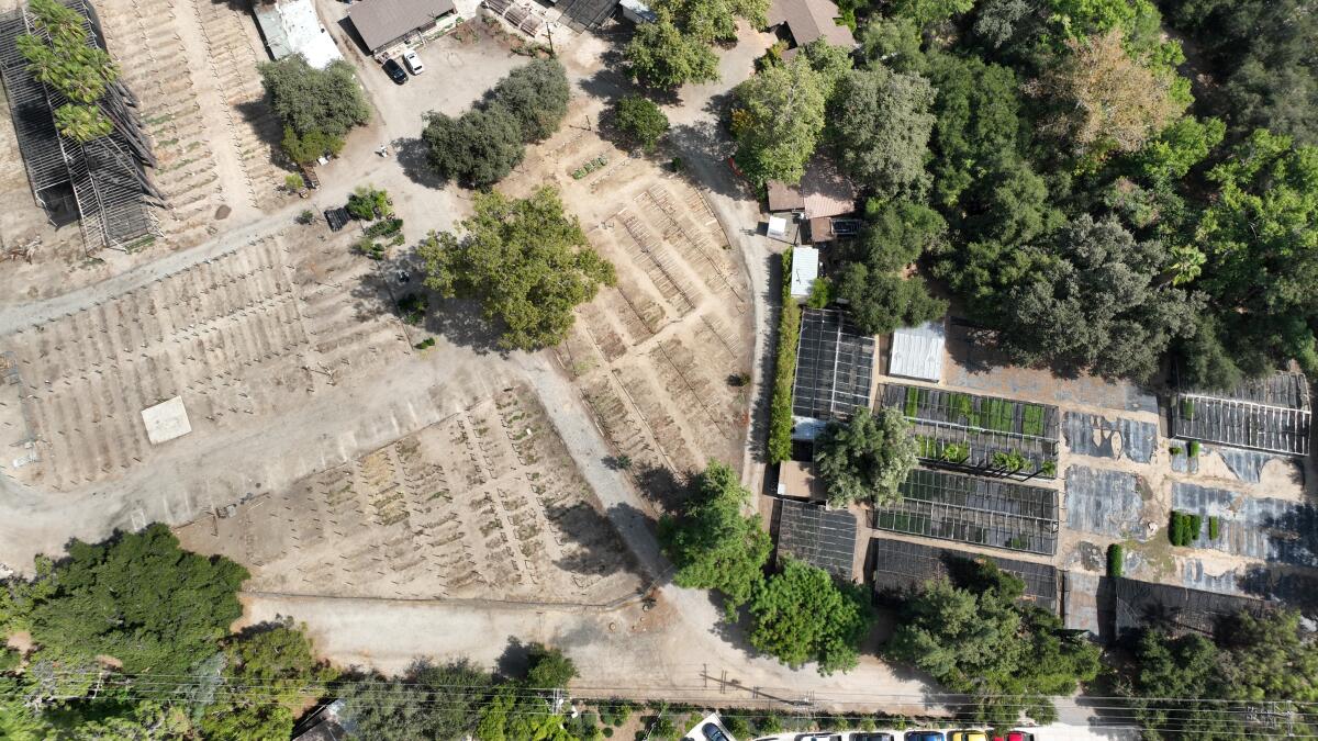 Aerial view of where groves will turn to graves in Woodland Hills.
