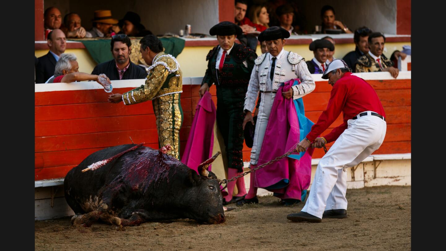 Bullfighting in Tijuana