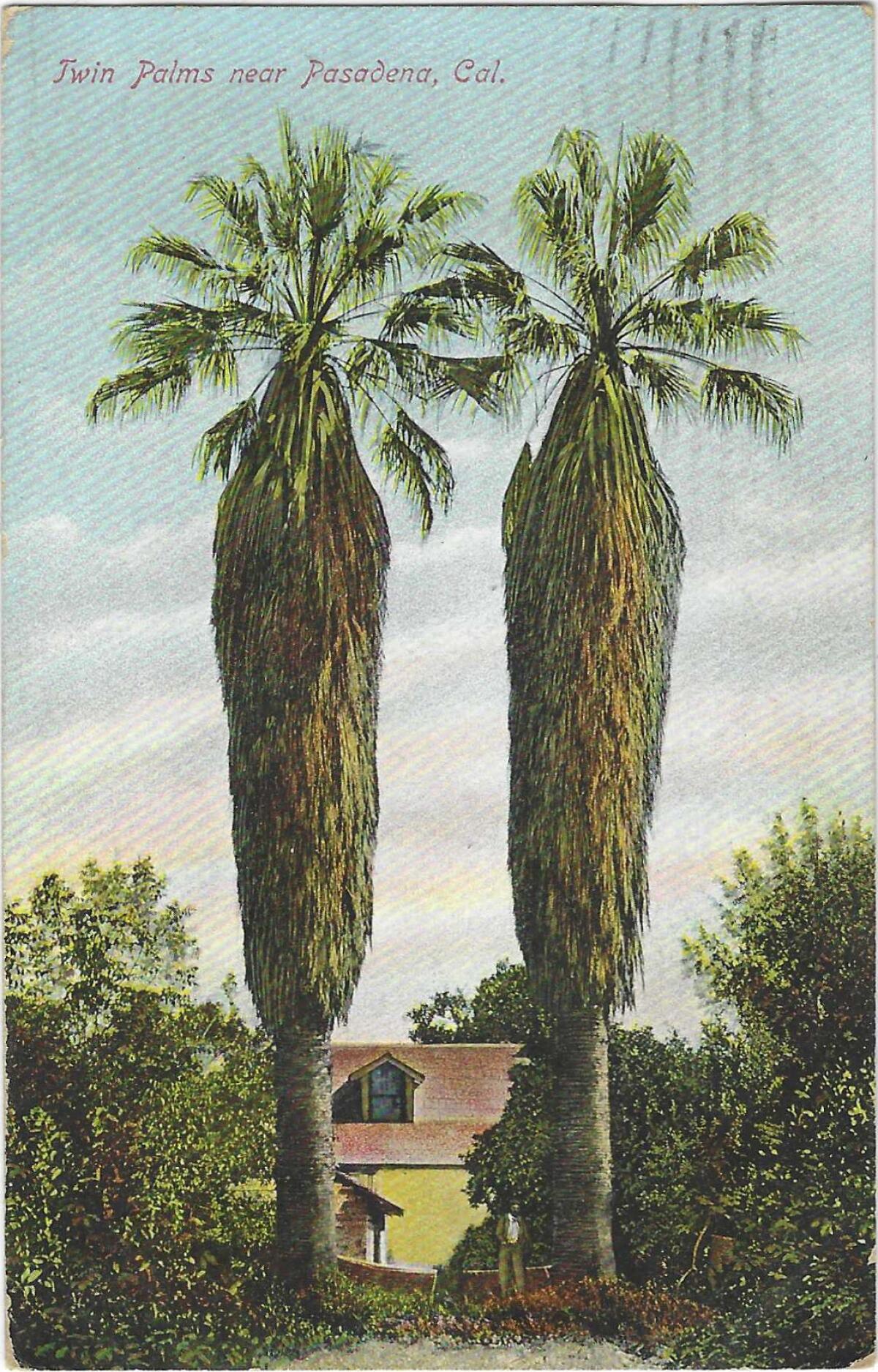 "Twin Palms near Pasadena, Cal." reads a vintage postcard showing a pair of trees framing a small yellow home.