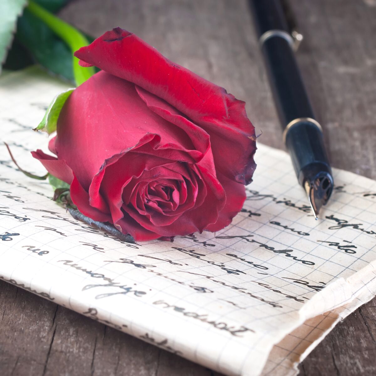 Love letter, fountain pen and rose.