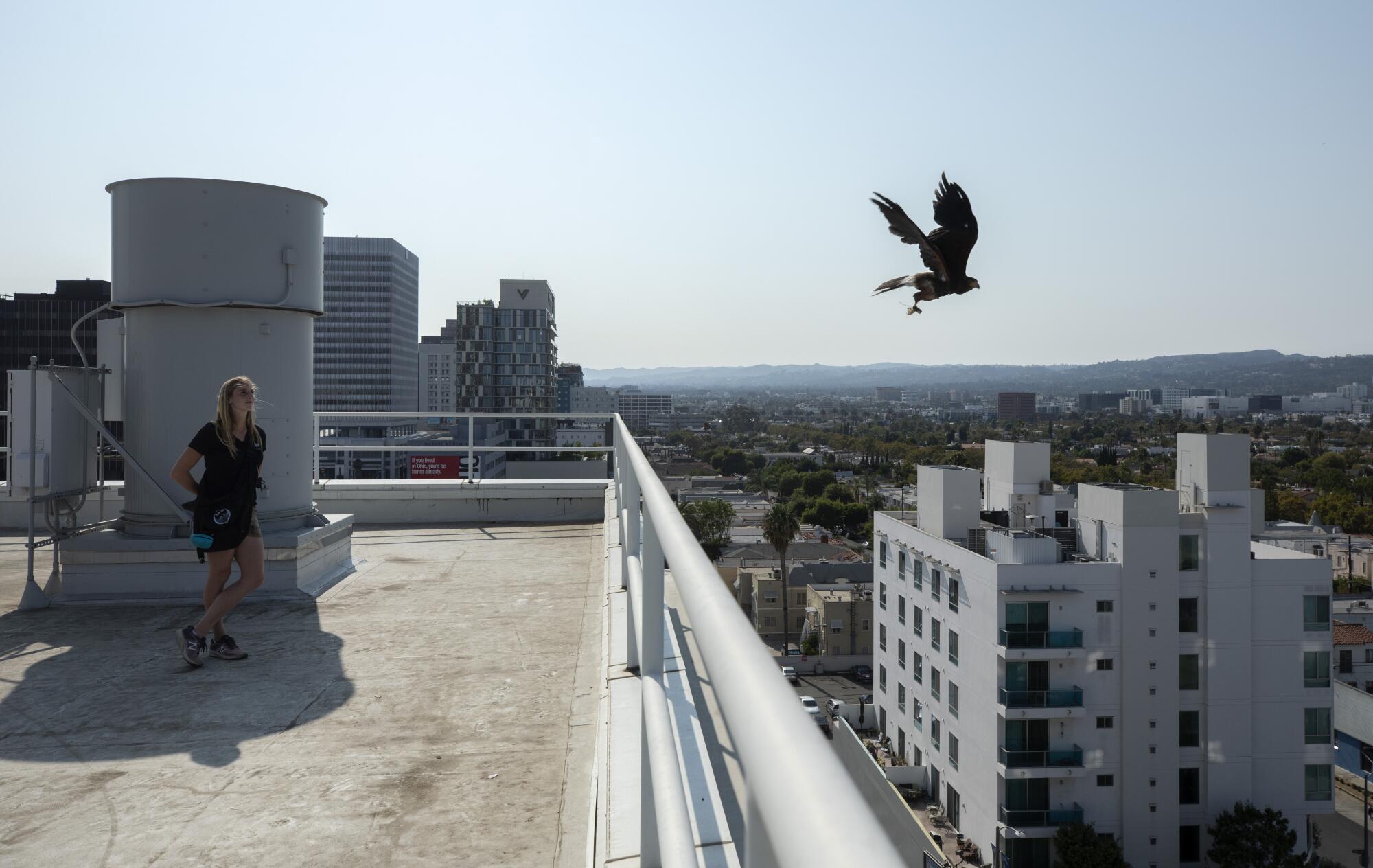 A woman stands on a rooftop as a hawk flies off.