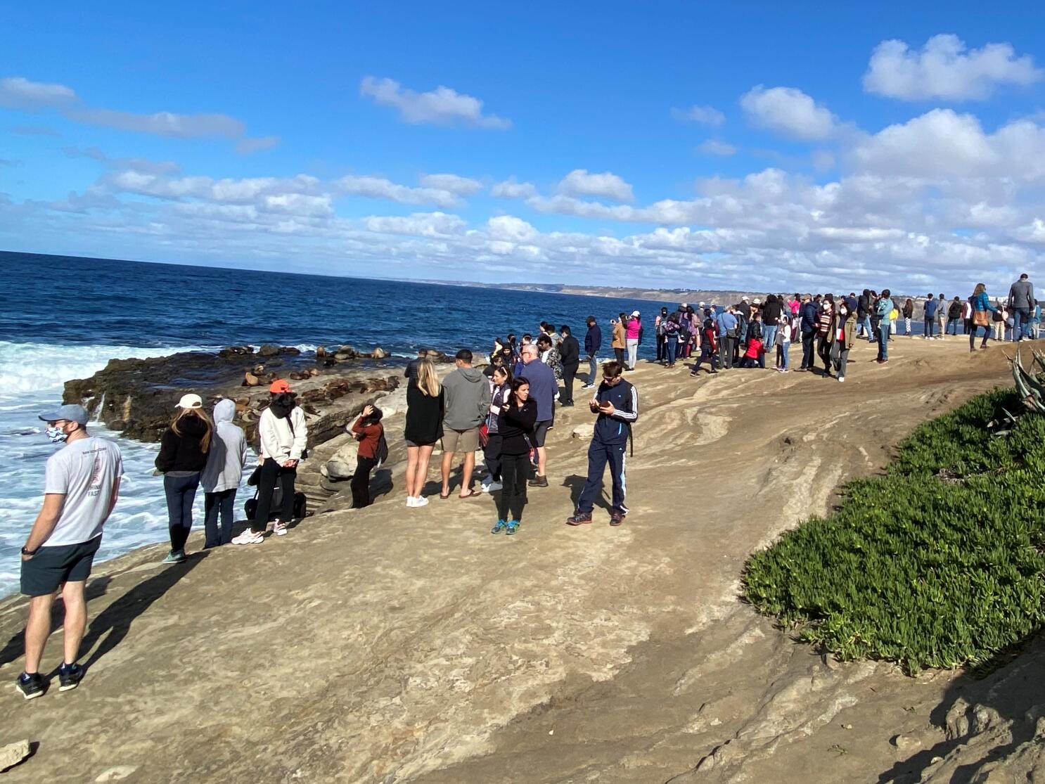 Point La Jolla docents accused of yelling, grabbing and other