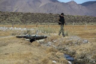 MAMMOTH LAKES, CA - JANUARY 13: Sierra Club organizer Kris Hohag walks across an irrigation pipe used to move water from Hot Creek to adjacent wetlands and pastures near Mammoth Lakes on Wednesday, Jan. 13, 2021 in Mammoth Lakes, CA. For seven decades, LADWP has provided free allotments of water for irrigation purposes in the area and now they want to send the water south to Los Angeles instead. (Brian van der Brug / Los Angeles Times)